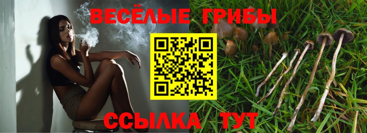 Галлюциногенные грибы MAGIC MUSHROOMS  Вход с VPN  Новочеркасск 